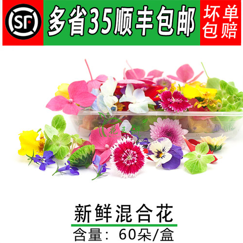 日料西餐酒店点缀花草