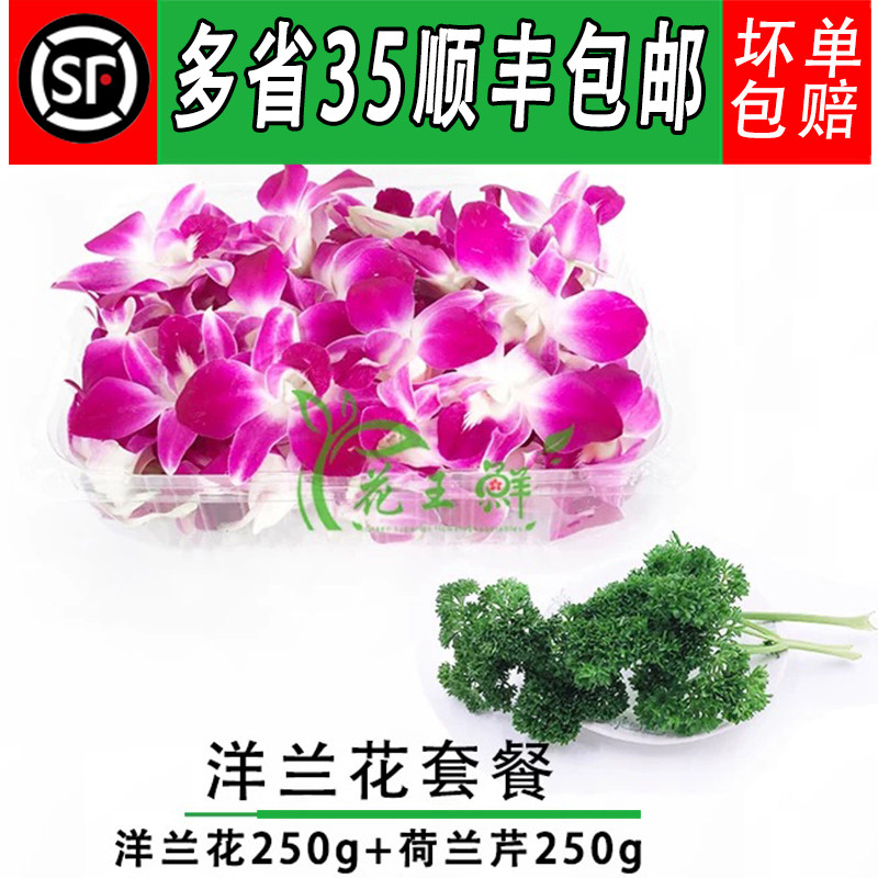新鲜 杨兰花 洋兰花花朵250g荷兰芹250g酒店火锅店摆盘装饰包邮