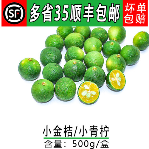 海南小青金桔  小青柠 新鲜水果小青橘 奶茶店果饮果茶果汁装饰