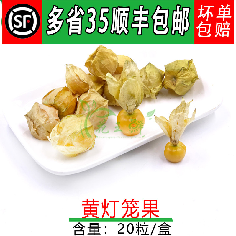 摆盘装饰装饰花草四季灯笼果
