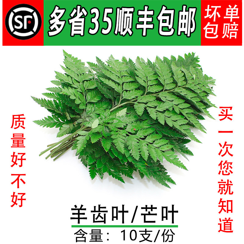 新鲜芒叶蛋糕烘焙装饰