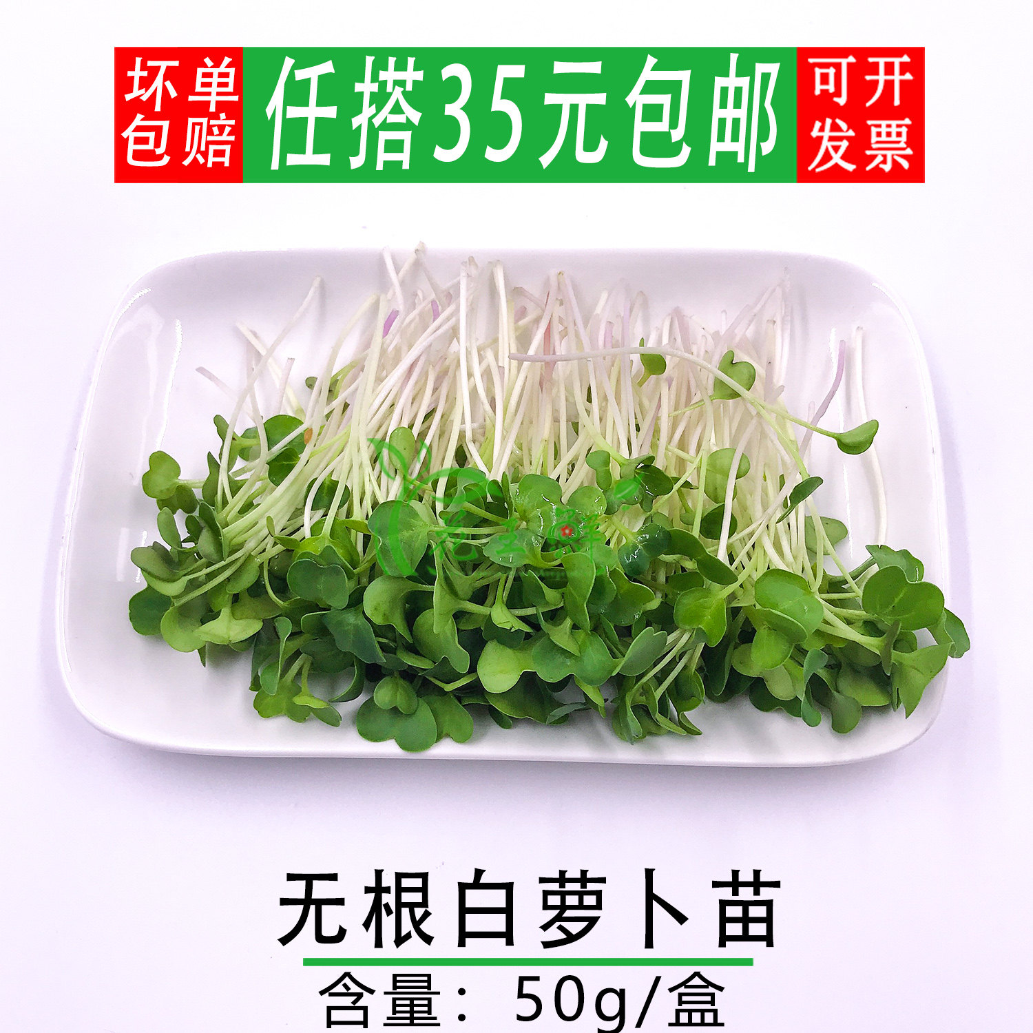 新鲜蔬菜 白萝卜苗 可食用 微型萝卜苗 芽苗菜 西餐摆盘冷菜点缀