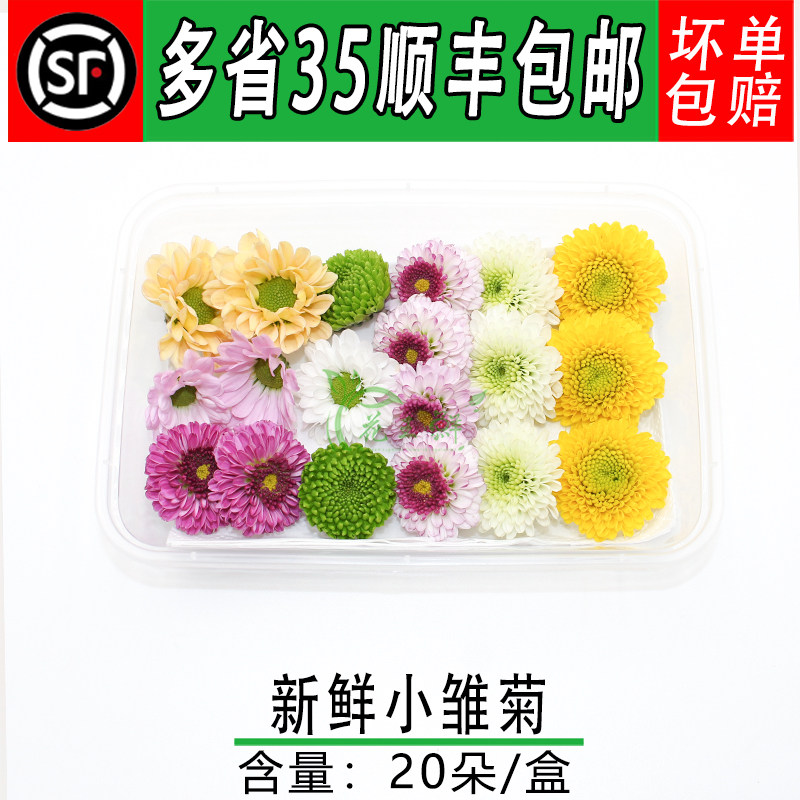 新鲜小雏菊鲜花小菊花
