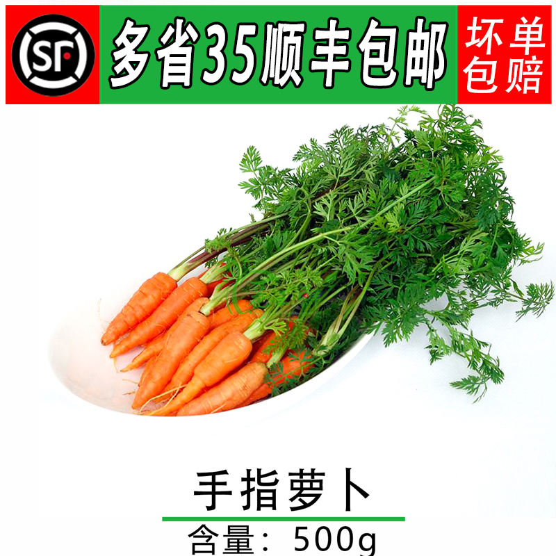 新鲜手指胡萝卜带叶500g迷你胡萝卜蔬菜沙拉酒店西餐摆盘装饰菜