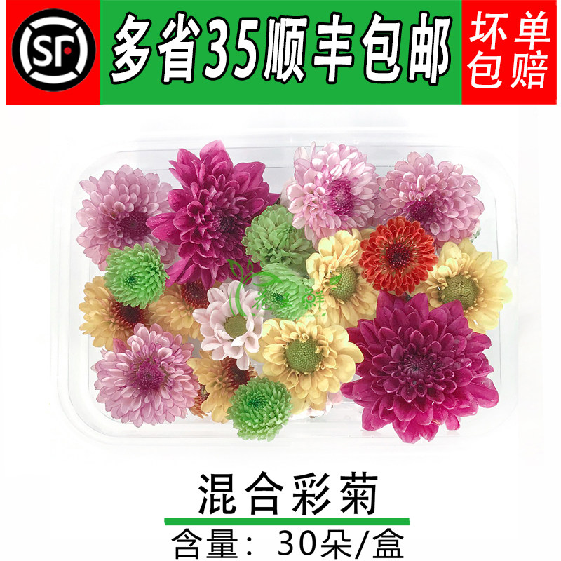 新鲜小彩菊 酒店冷艺摆盘装饰鲜花 雏菊 日料海鲜装饰点缀小菊花