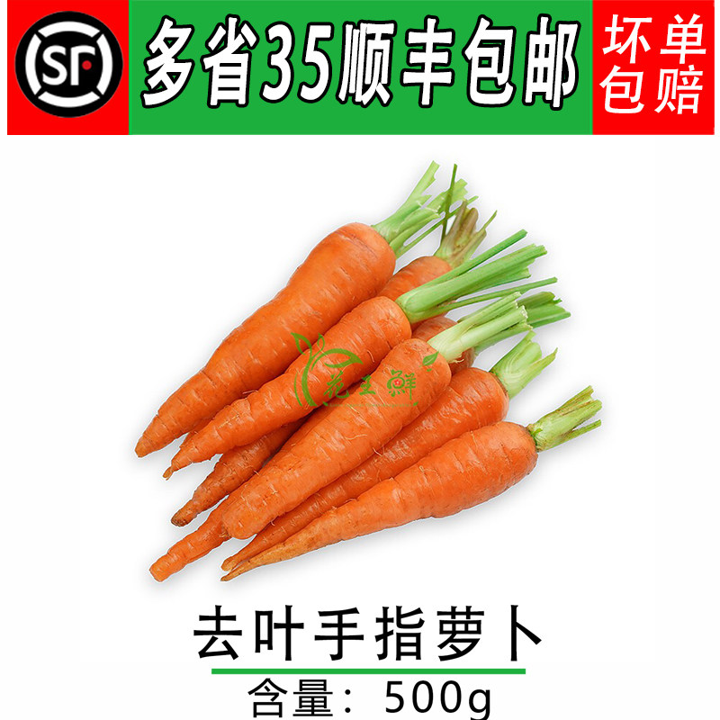 新鲜蔬菜 手指萝卜去叶500g 生食黄水果萝卜西餐酒店摆盘装饰