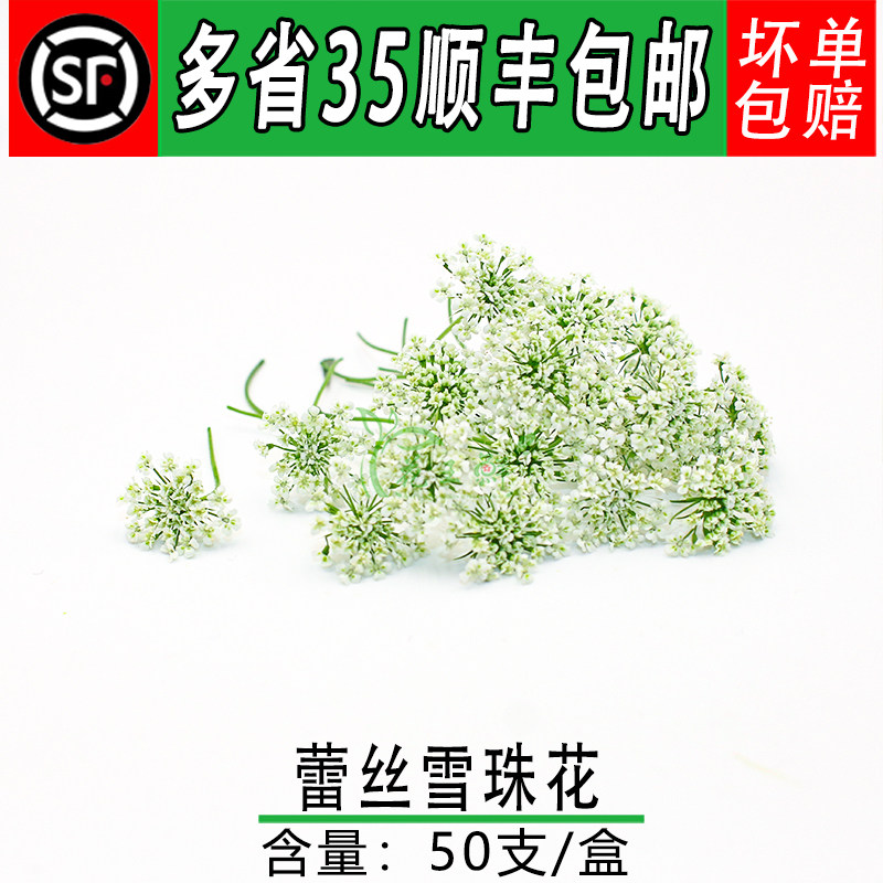 新鲜雪珠花摆盘装饰点缀
