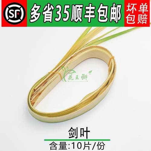 新鲜 剑叶 10片/把 日料西餐酒店西餐摆盘装饰点缀花草插花篮华艺