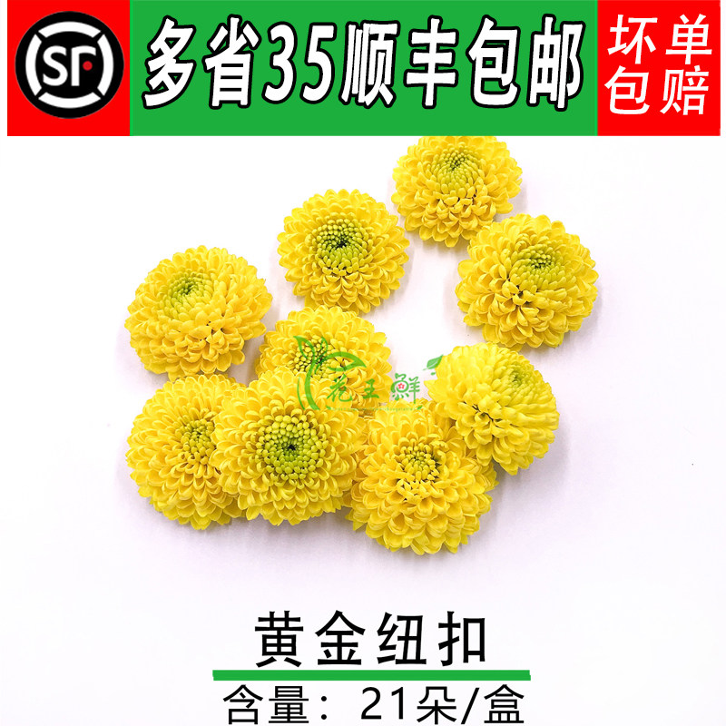 日料摆盘彩菊小雏菊酒店西餐菊花
