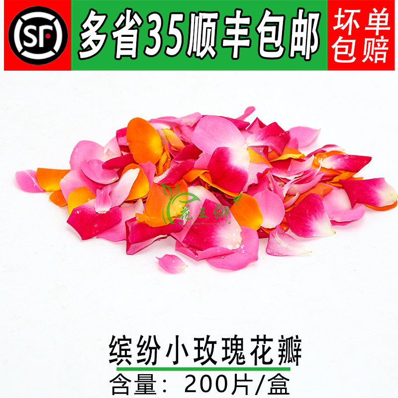 新鲜  玫瑰花瓣 混合色 小玫瑰酒店摆盘装饰蛋糕咖啡装饰点缀