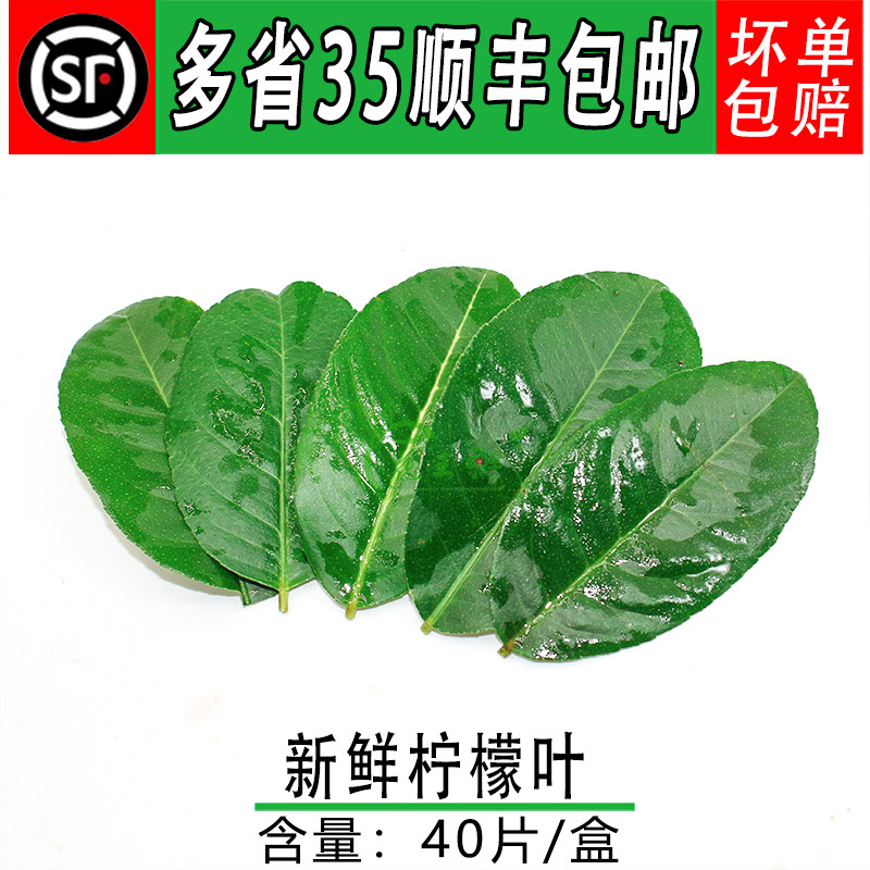 新鲜柠檬叶酒店摆盘装饰装饰
