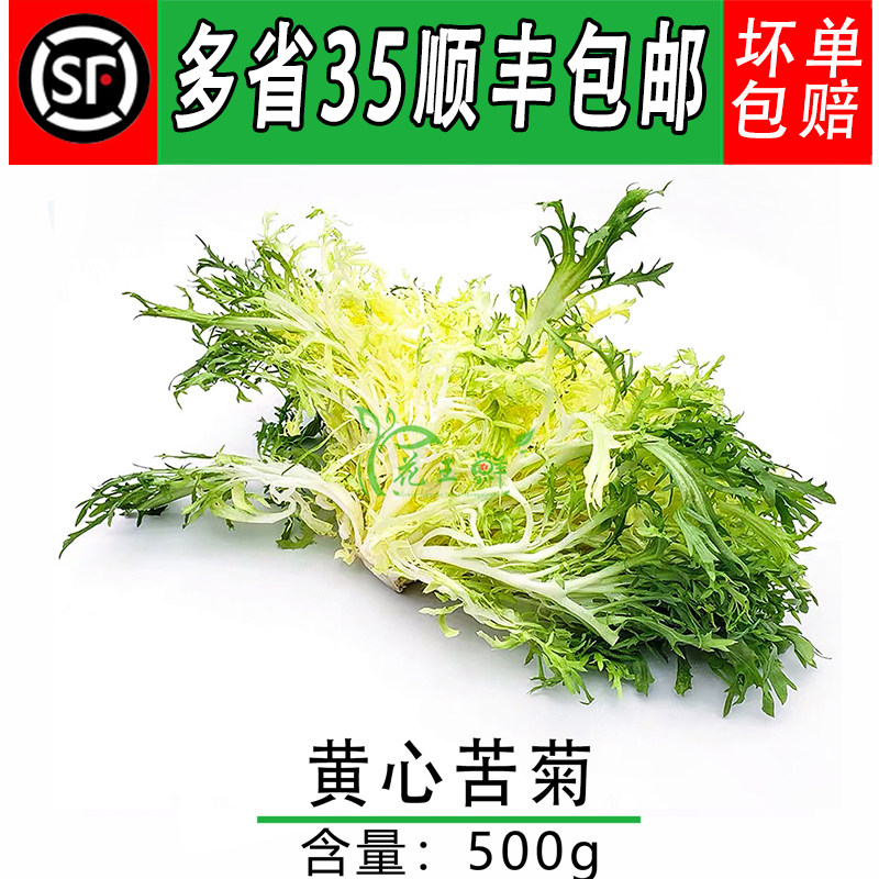 新鲜蔬菜 黄心苦菊 苦叶生菜 狗芽生菜 蔬菜沙拉 500g