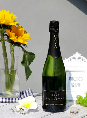 【干型起泡】CAVA纳沃卡瓦高泡葡萄酒