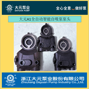 浙江大元A1款全自动增压泵配件泵体泵头300Z400Z600Z800Z1100Z