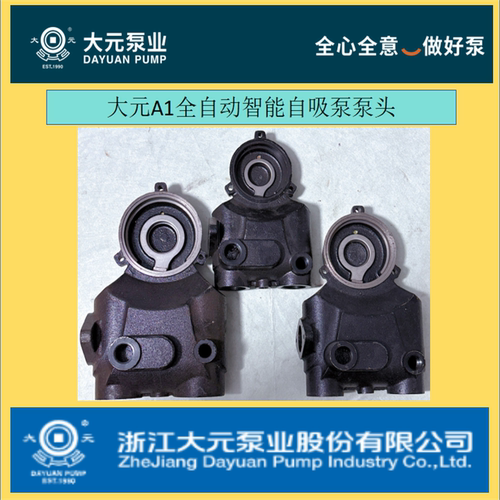 浙江大元A1款全自动增压泵配件泵体泵头300Z400Z600Z800Z1100Z