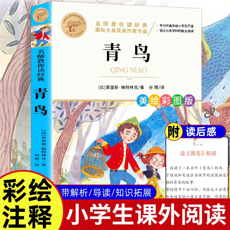 【彩图正版】青鸟书正版 三四五六年级课外书老师推荐国际大奖儿童文学经典名著 美绘典藏版原著世界名著中小学生课外阅读书籍属于什么档次？