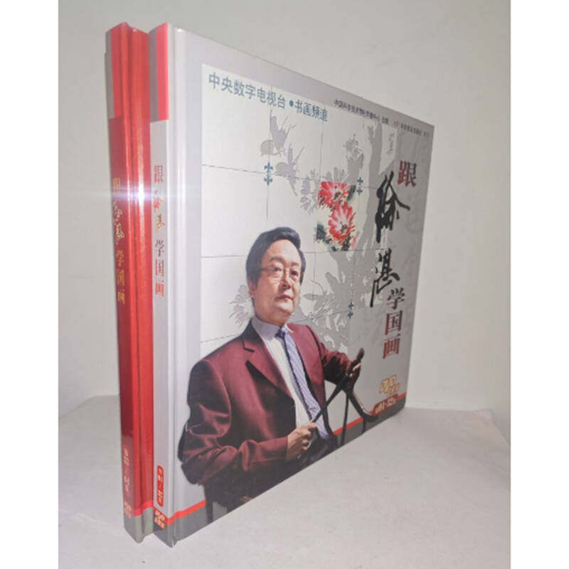 正版碟片 跟徐湛学国画16DVD精装书册版碟片64集