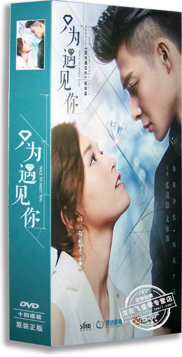 正版电视剧 只为遇见你14DVD 精装版 张铭恩 文咏珊 马雅舒汤梦佳