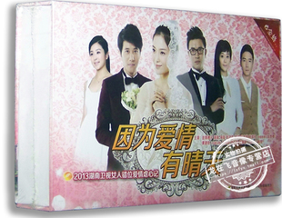 正版电视剧 因为爱情有晴天14DVD 精装版 赵韩樱子 彭冠英 海陆