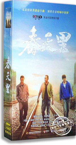 正版现货 春天里 电视剧精装版 14DVD 谷智鑫 王力可