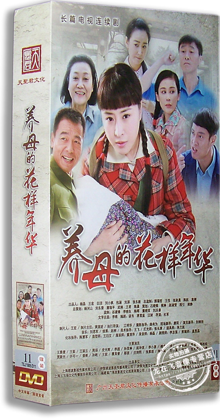 正版电视剧 养母的花样年华11DVD精装版电视剧光盘王雅捷 王挺