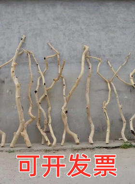 干树枝自然枯树枯枝龙骨树干杜鹃枝干实木灯架鱼缸造景猫爬架抓柱