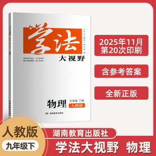 现货 物理学法大视野九年级下物理正版 2026新版 九9年级下册物理学法大视野同步辅导书含答案初三3下学期人教版