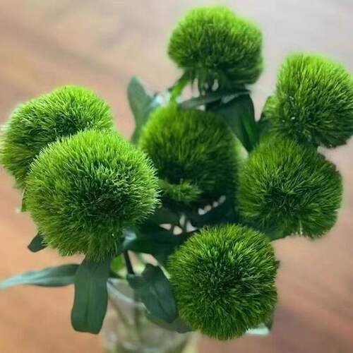 绿毛球绿石竹水养混搭插花超长