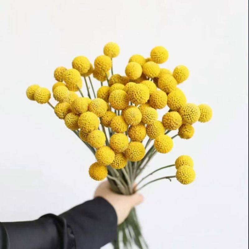 黄金球干花花束干燥花