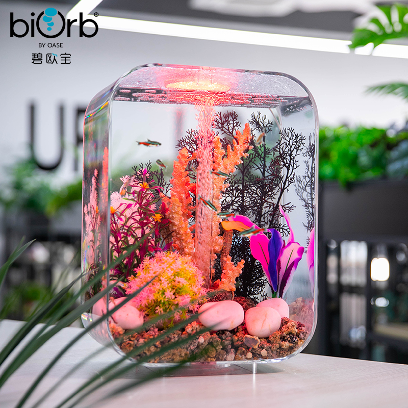 biorb24新款小型鱼缸客厅艺术水景免打理水族箱创意桌面造景摆件