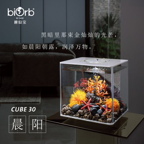 bior型鱼缸客厅艺术水景创意桌面小免缸懒人鱼换水小b家用金鱼缸