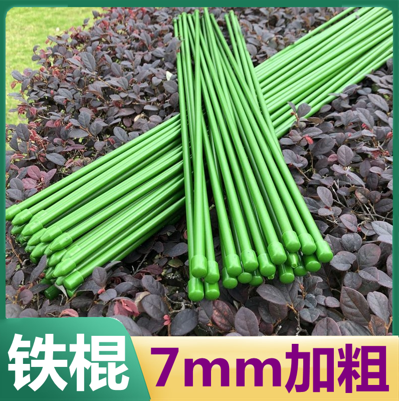 金钱树植物花架蔬菜瓜果黄瓜豆角番茄爬藤架园艺支撑杆户外攀爬架,鲜花速递/花卉仿真/绿植园艺,花架,淘宝优惠券,粉丝福利购,淘宝优惠卷