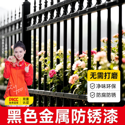 德国进口水性环保防锈漆改色翻新