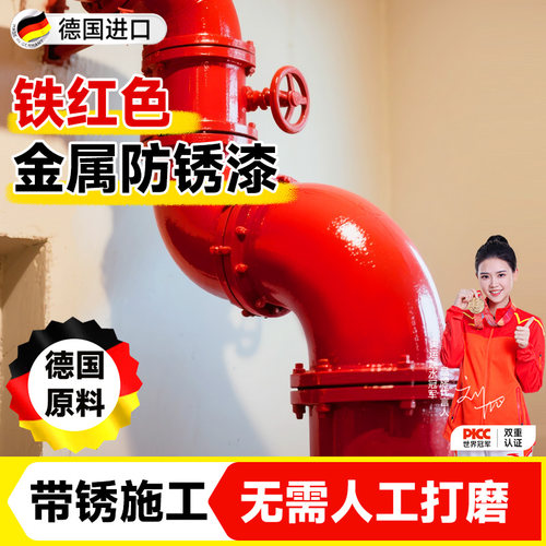 【德国进口】免打磨除锈改色漆！