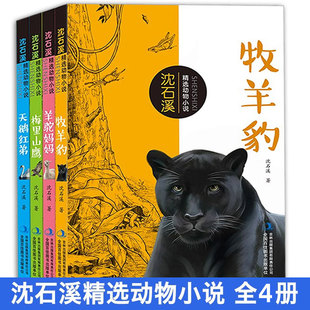 沈石溪动物小说全集 品藏书系全套4册 羊驼妈妈 牧羊豹 天鹅红弟 梅里山鹰系列 小学生四五年级 六年级课外书 阅读书籍畅销类