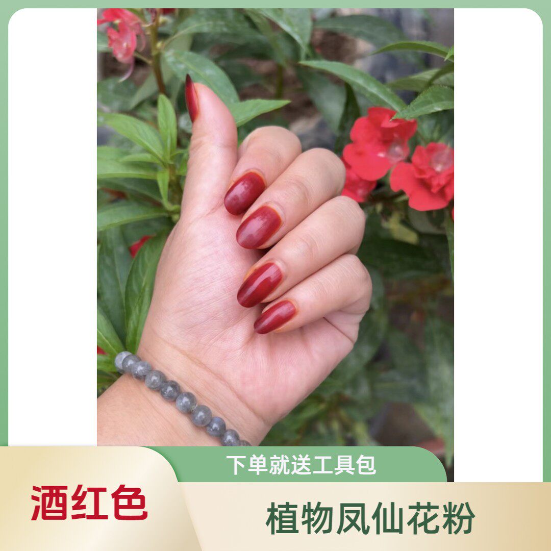 D【送六件套工具】红色植物凤仙干花
