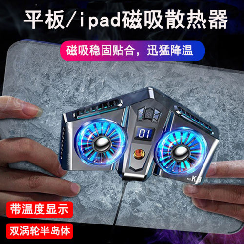 PAINICA/派尼卡带温度显示半导体