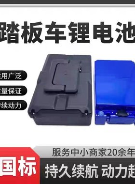 晶荷电池锂电池48v12A