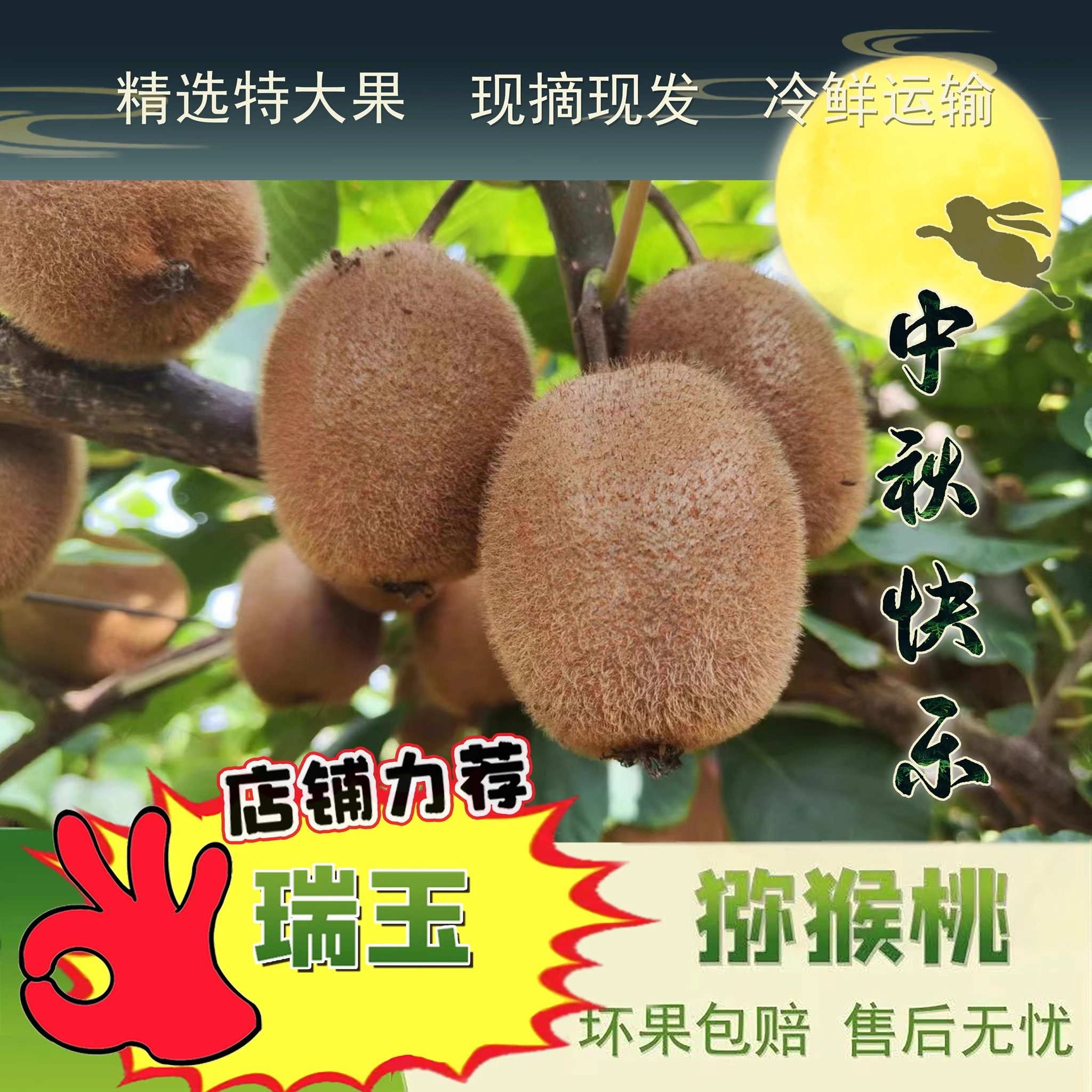 陕西渭南  瑞玉 猕猴桃  6斤 果园直发 特大果 冷鲜运输 包邮