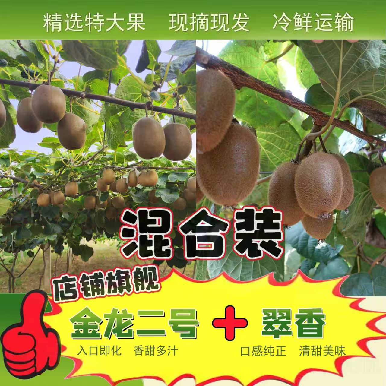 陕西渭南 金龙二号+翠香 混合装 猕猴桃  果园直发 冷鲜运输 包邮