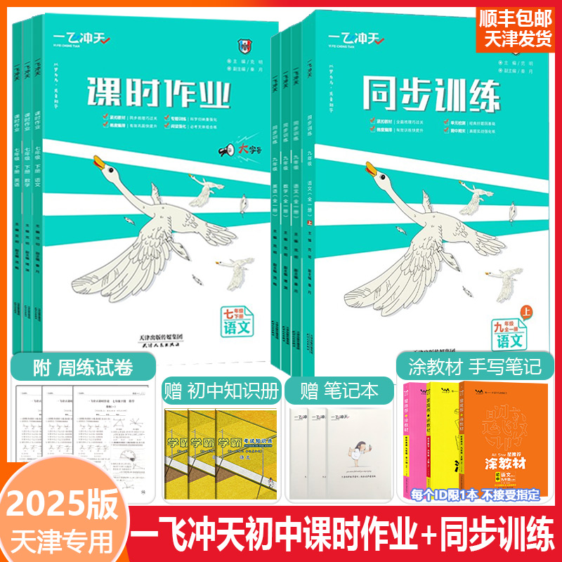 2025新版一飞冲天课时作业七八九