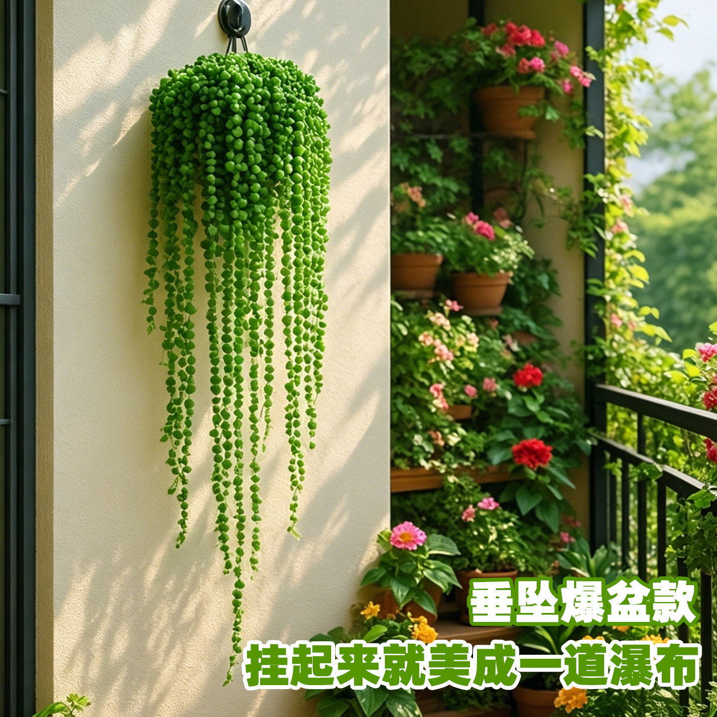 佛珠多肉绿植精品吊篮阳台窗户悬挂花架长藤四季室内盆栽吊兰植物
