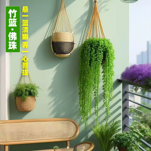 竹编壁挂花篮吊兰佛珠盆栽种好