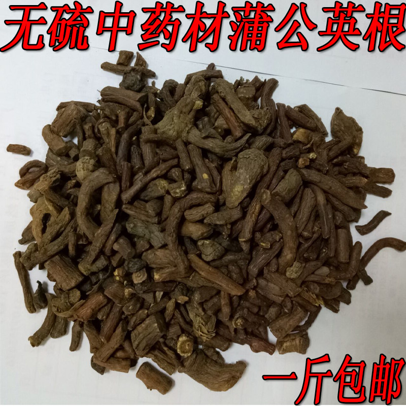 野生婆婆丁蒲公英根
