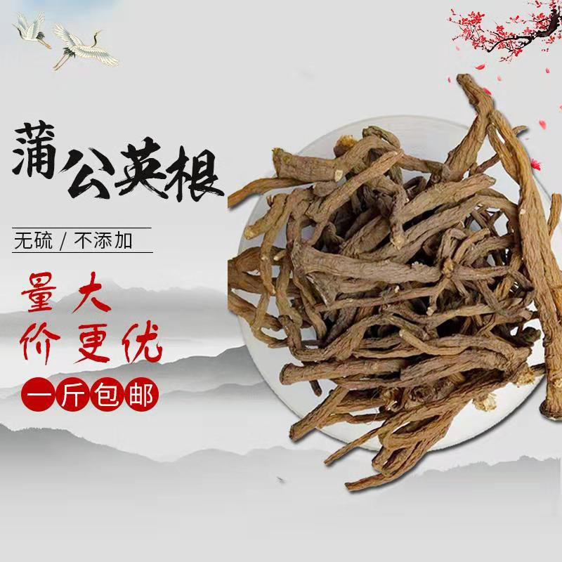 药材 蒲公英 根 茶浦公英 莆