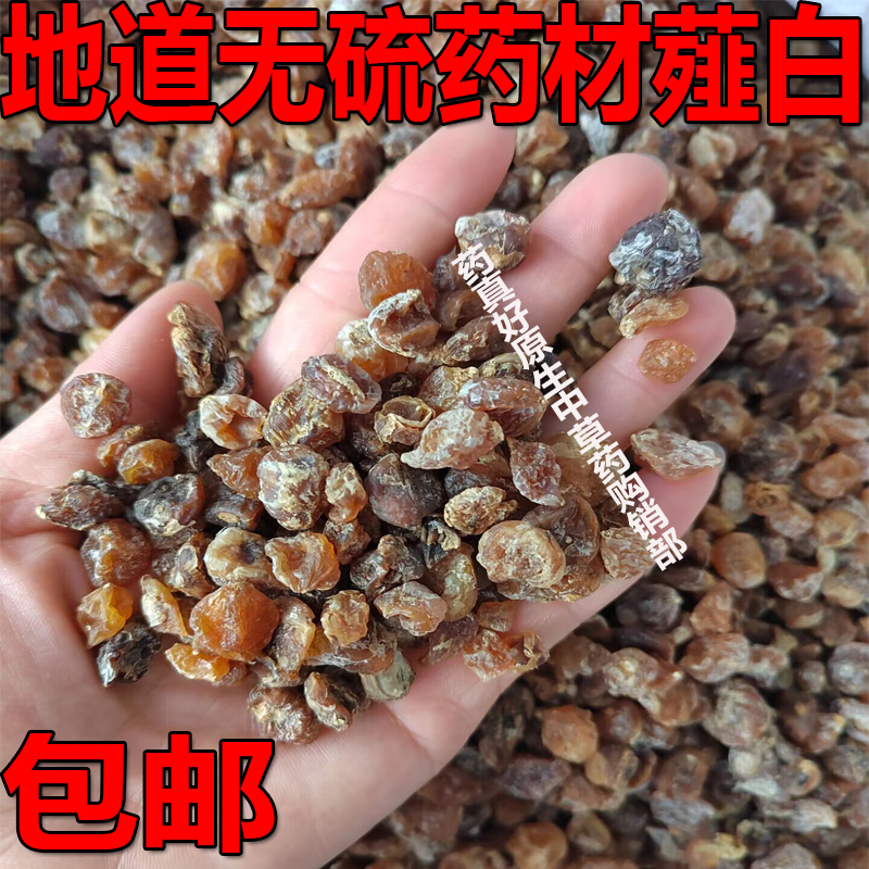 精选新货薤白无硫大野蒜泻白韭白野薤白山蒜小根蒜茭白乔白一斤包