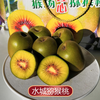 水城红心猕猴桃5斤贵州特产水果