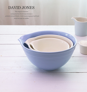 出口澳大利亚原单陶瓷搅拌碗打蛋盆面粉碗大容量DAVID JONES