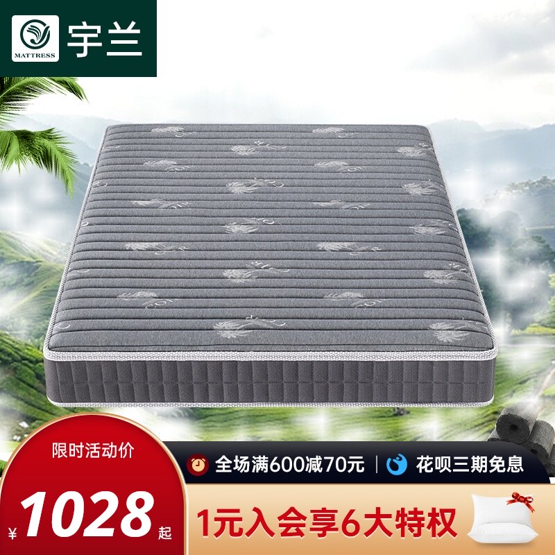 软硬两弹床垫棕垫无用簧全棕床垫22CM15CM10CM厚乳胶椰棕垫