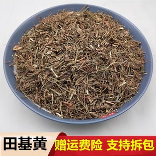 野生田基黄 中药材田基黄 地耳草 黄花草 田基王中草药 500克包邮